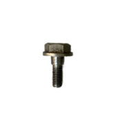 Short Screw (Qty: 4 Pcs)