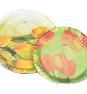 (13-B/G) Paper Plate 13inch [Qty: 800 pcs]